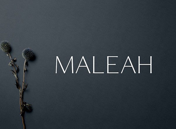 一款优雅的现代无衬线创意字体精选 Maleah Sans Serif 2 Font Family Pack