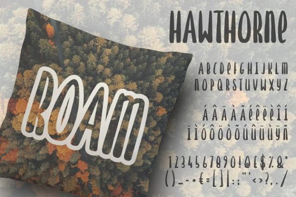 可爱风格胖体英文手绘无衬线创意字体精选 Hawthorne Hand Drawn Font