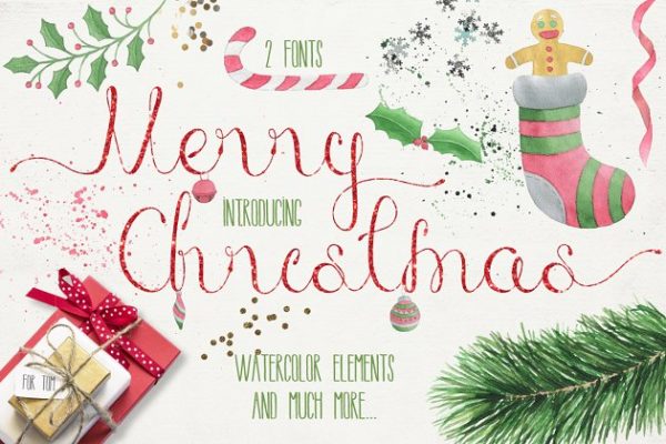 手写书法艺术英文创意字体精选 Merry Christmas [2 fonts] Pro