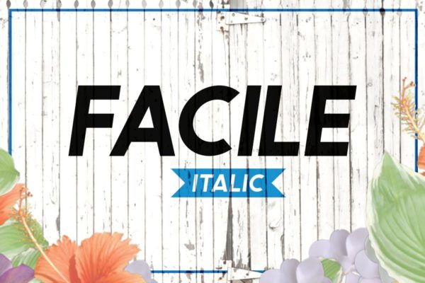 简单，大胆＆俏皮无衬线英文创意字体精选 Facile Italic