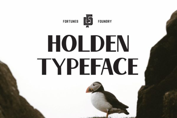 复古排版印刷风格英文无衬线创意字体精选 Holden VIntage Type