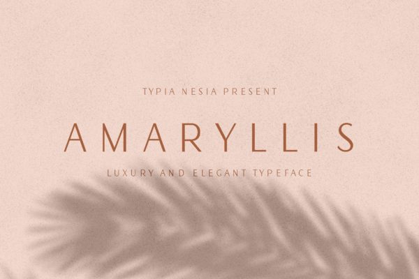 现代优雅风格英文无衬线创意字体精选 Amaryllis Sans