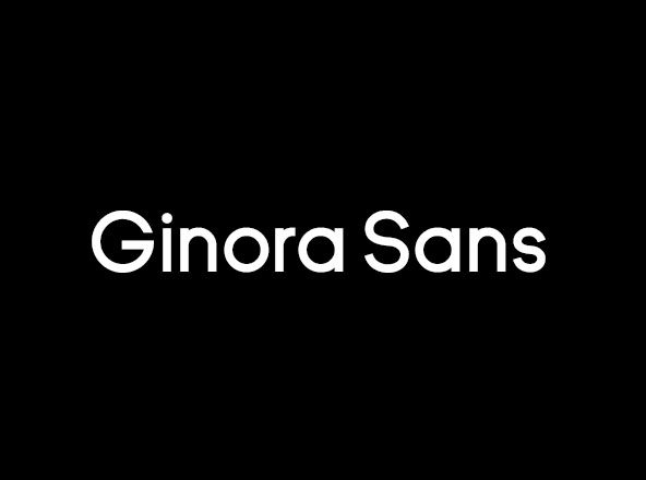 巴西设计师杰作无衬线英文创意字体精选家族 Ginora Sans Font Family