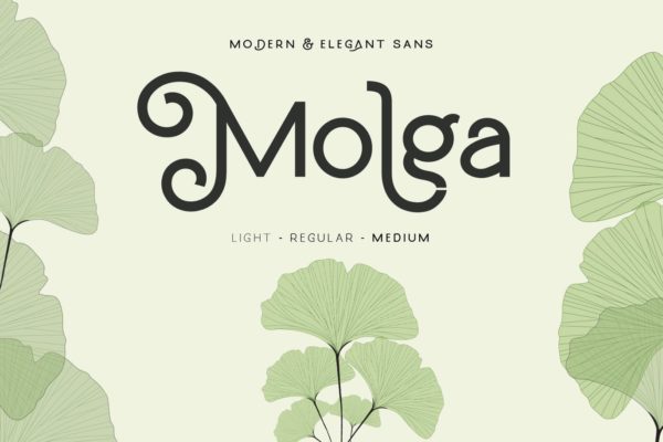 非常好看的一款现代曲线美体英文无衬线设计创意字体精选 Molga font