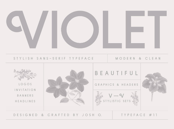 现代优雅品牌设计英文无衬线创意字体精选 Violet Font