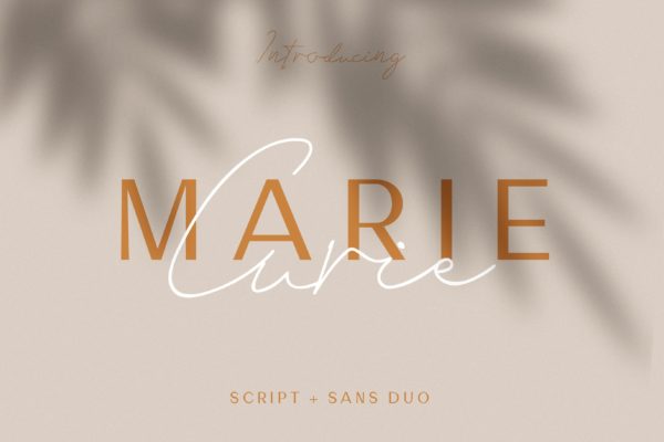 英文钢笔草书书法创意字体精选&无衬线创意字体精选合集 Marie Curie – Sans & Script