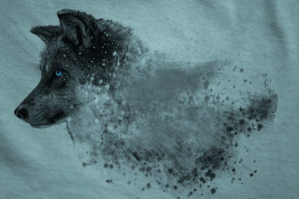 服装印花设计展示纹理背景样机设计模板素材 T-Shirt Textures – Mockup Collection