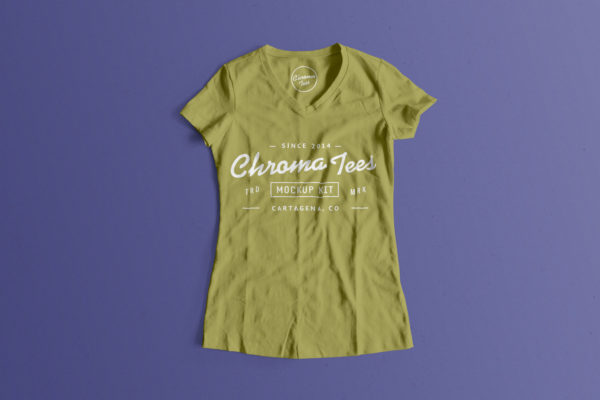 女士T恤服装设计前视图样机03 Woman Front T-Shirt Mockup 03