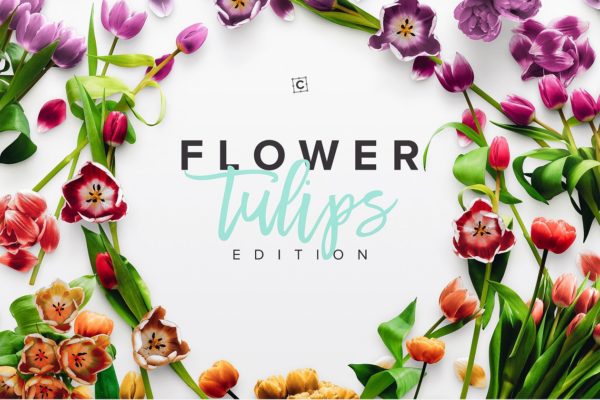 郁金香花卉场景样机设计模板 Flower Tulips Edition – Custom Scene[1.18GB]