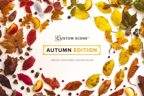 秋天主题场景样机设计模板设计素材包[2.39GB] Autumn Edition – Custom Scene