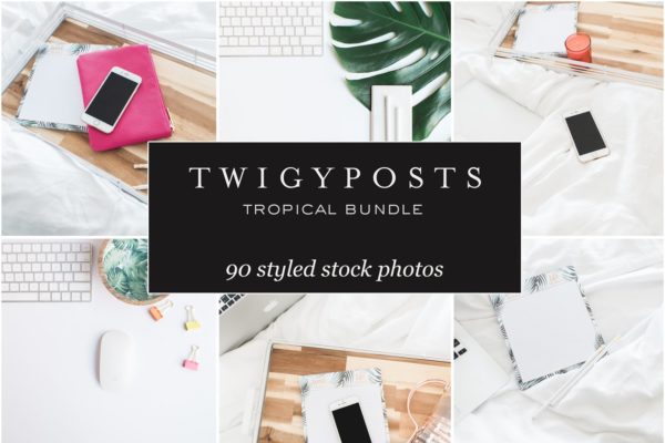 小资格调场景样机设计模板合集 MASSIVE Tropical Stock Photo Bundle