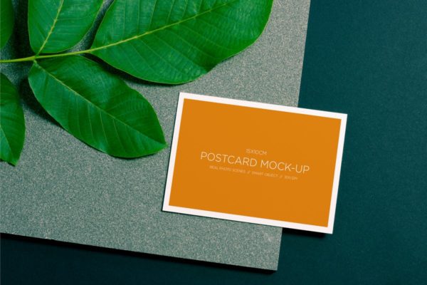 明信片/照片简约样机模板素材 Post Card Mock-up / Real Photo Scene