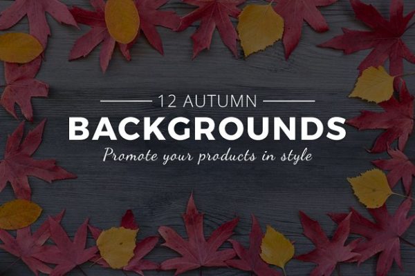 秋天落叶巨无霸Banner场景样机设计模板背景 Autumn leaves background mockups