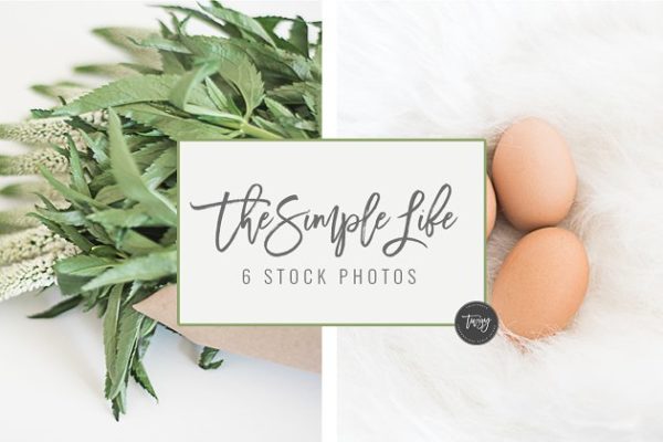 简约生活场景样机设计模板 Simple Life Stock Photos + 4 FREE