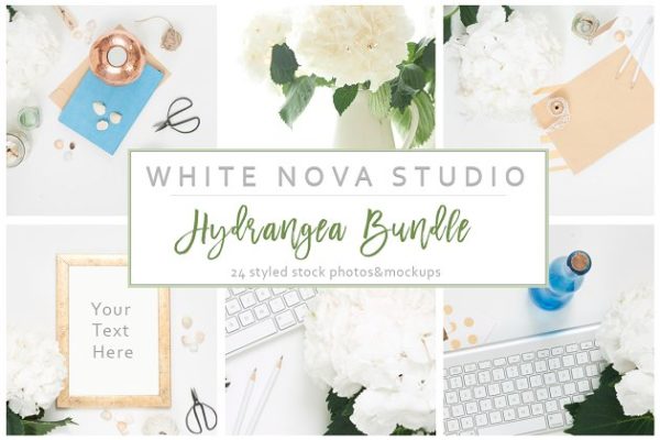 八仙花装饰工作场景样机设计模板 Hydrangea Workplace Bundle