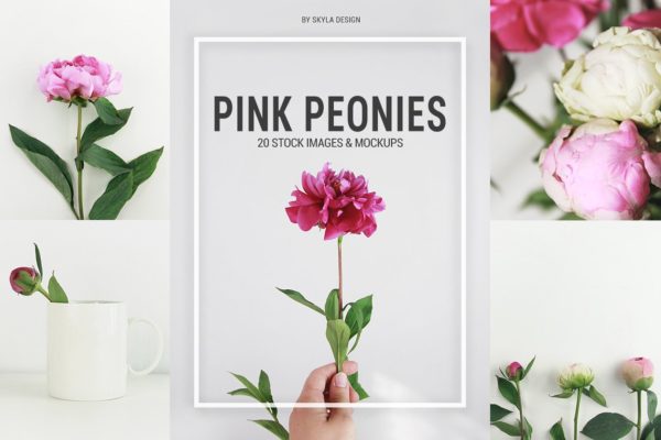 粉红牡丹场景装饰样机模板素材 Pink peonies stock & mockups