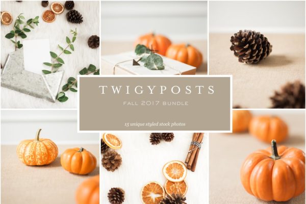 秋季南瓜场景样机设计模板 Fall Stock Photo Bundle