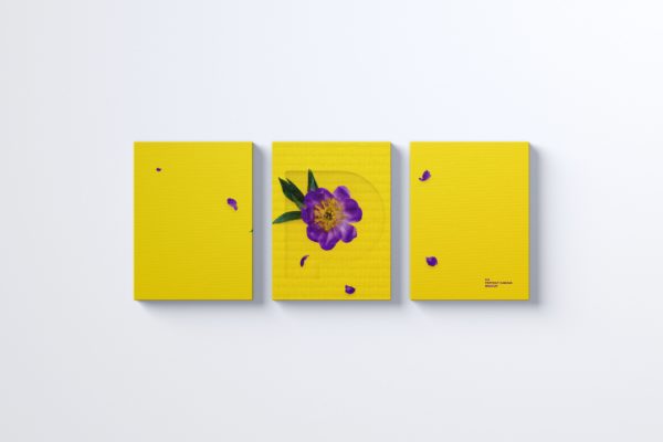 挂墙等距画布画框作品展览效果图前视图样机素材 Three 3:4 Portrait Canvas Mockup Hanging on Wall, Front View