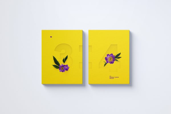 挂墙式画布画框艺术创造/画作展览样机正视图模板素材 Two 3:4 Portrait Canvas Mockup Hanging on Wall, Front View