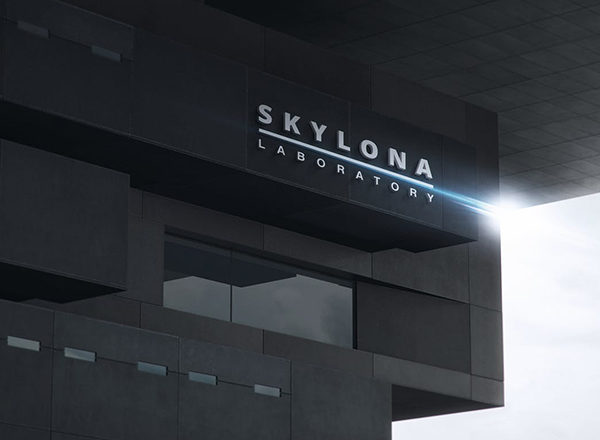 高品质的公司企业3D立体logo标志样机素材展示模型mockups