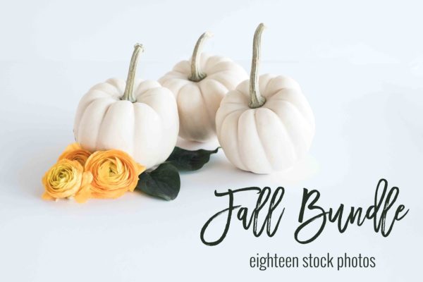 现代简约风办公场景样机素材 Fall Stock Photo Bundle