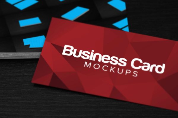 10款商业/企业品牌名片样机素材 10 Business Card Mockups