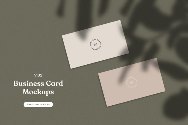 企业名片平铺视图植物阴影背景样机素材模板v02 ADL – Business Card Mockup.v02