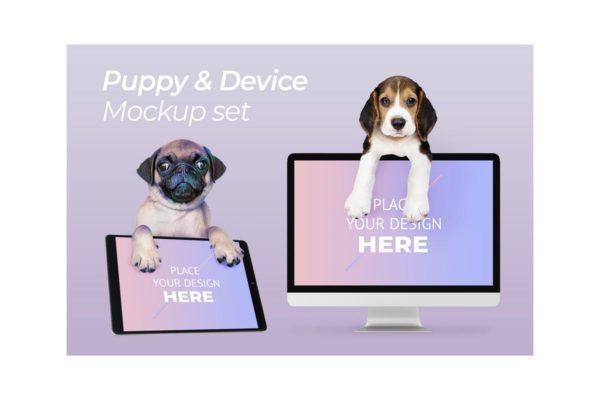 宠物主题网站设计演示电脑样机模板素材 Dog with Computer Mockup