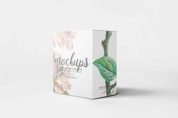 纸盒包装外观设计样机素材模板11 Paper Box Mockup 11