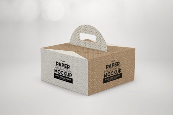 2件装纸盒包装设计样机素材模板 2pc PaperBox Carrier PackagingMockup