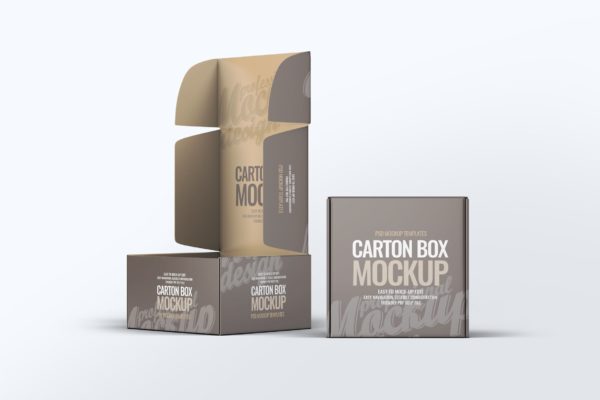 硬盒纸箱包装外观设计样机素材v1 Carton Box Mock-Up v.1