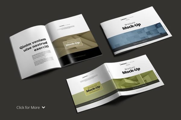 36种视角宣传小册子样机素材 Brochure Mock-Up Bundle