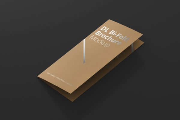 对折折页宣传小册样机素材 DL Bi-Fold Brochure Mock-Up