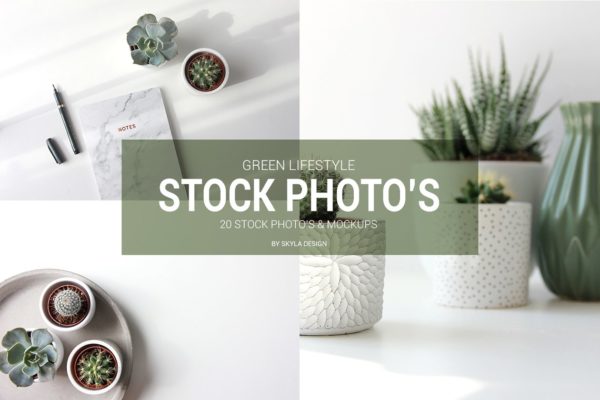 简约绿色生活方式照片样机素材模板 Stock photo mockups Green lifestyle
