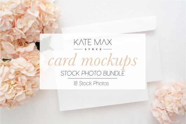 华丽的粉红绣球花便签卡片样机素材模板 Blush Card Mockups Bundle