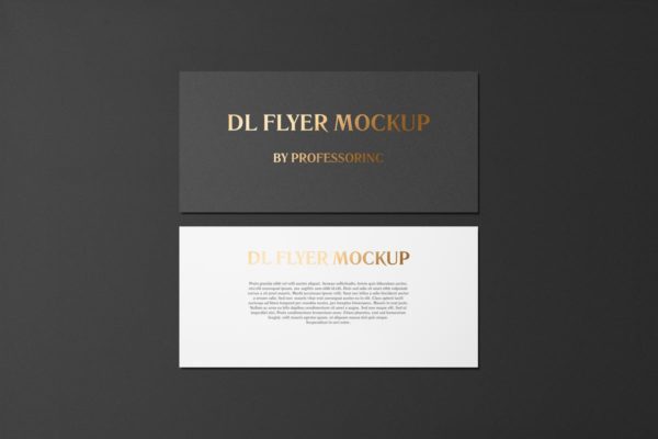 高端烫金DL传单铝箔冲压样机素材模板 DL Landscape Flyer With Foil Stamping Mockup