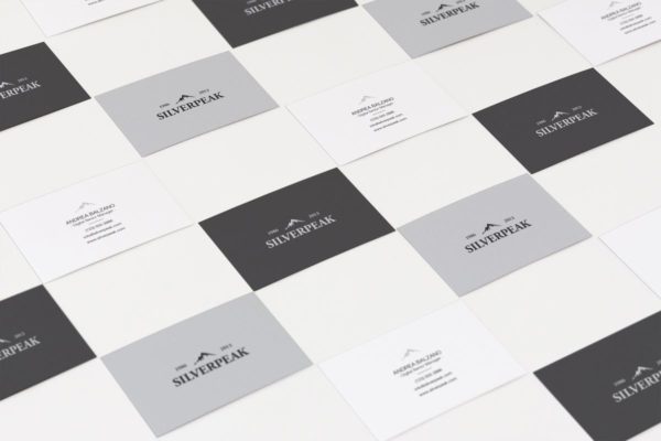 逼真高端企业品牌名片样机素材 Business Card Mockups