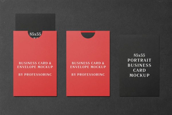 商业品牌卡片/贺卡样机素材模板 85×55 Portrait Business Card Mockup