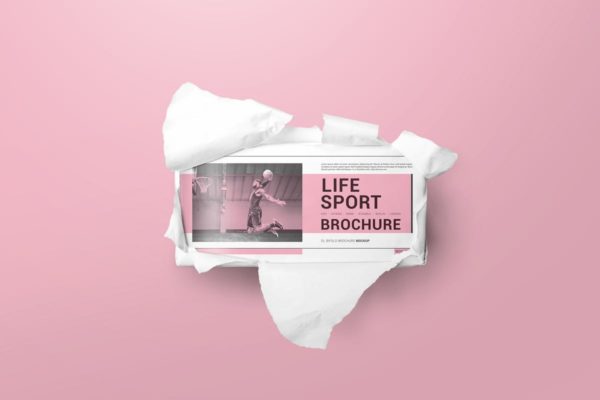 双折页DL宣传册样机素材模板 DL Bifold Brochure Mockups