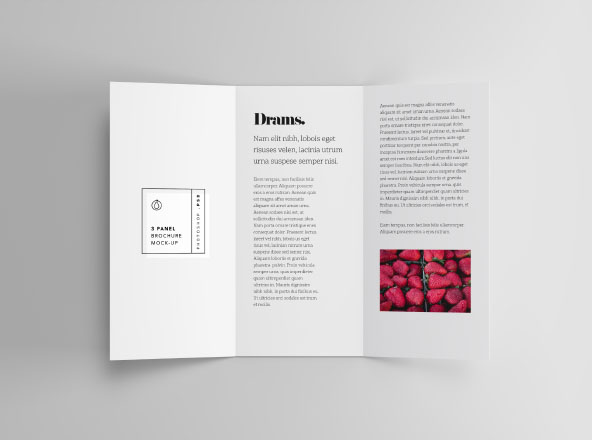 三折页传单内页设计效果图样机素材 3 Panel Brochure Mockup