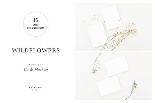 野花装饰背景卡片贺卡设计效果图样机素材 Wildflowers Cards Mockup