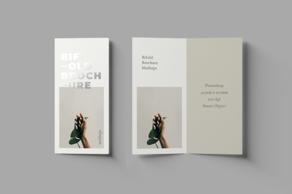 优雅设计风格折页宣传册设计图样机素材模板 Bifold DL Brochure Mockups