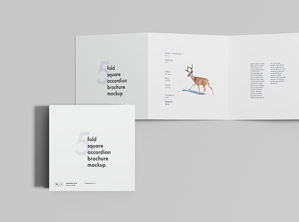 5折方形手风琴折叠式宣传册设计效果图样机素材 5 Fold Square Accordion Brochure Mockup