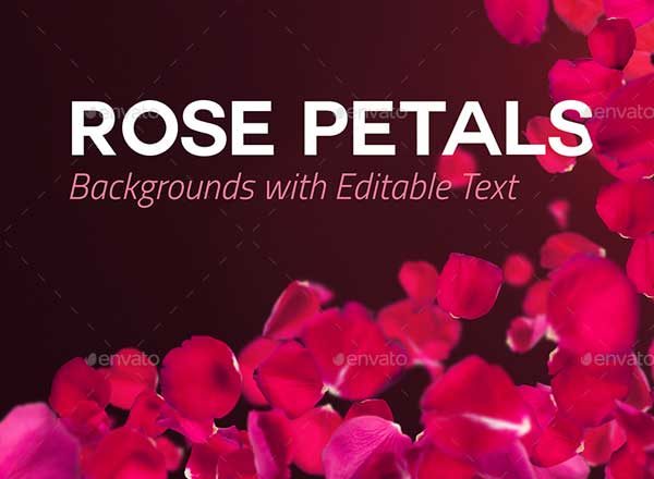 可编辑文本玫瑰花瓣背景图片素材 4 Rose Petals Backgrounds with Editable Text