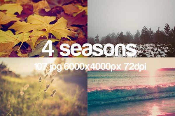 一年四季特写镜头照片素材 4 seasons photo pack