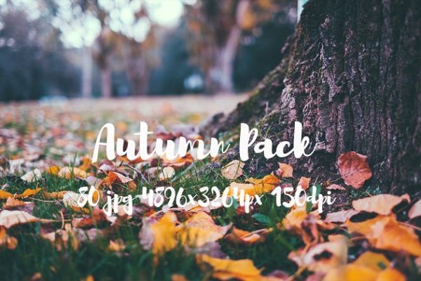 秋天主题高清风景照片素材 Autumn photo Pack