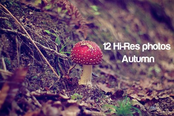秋意盎然高清风景照片素材 Autumn photo pack
