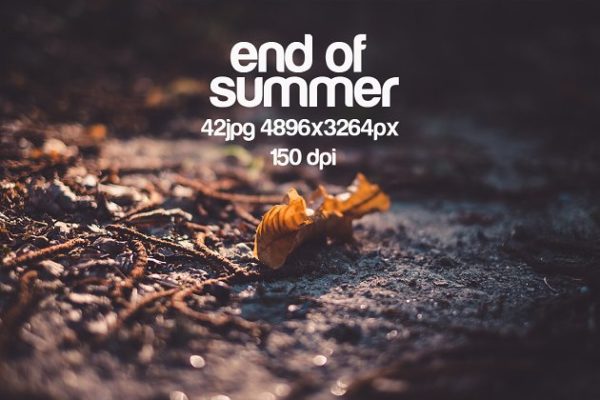 夏末静物特写镜头高清照片素材 end of the summer