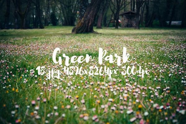生机勃勃的公园景象高清照片素材 Green Park bundle