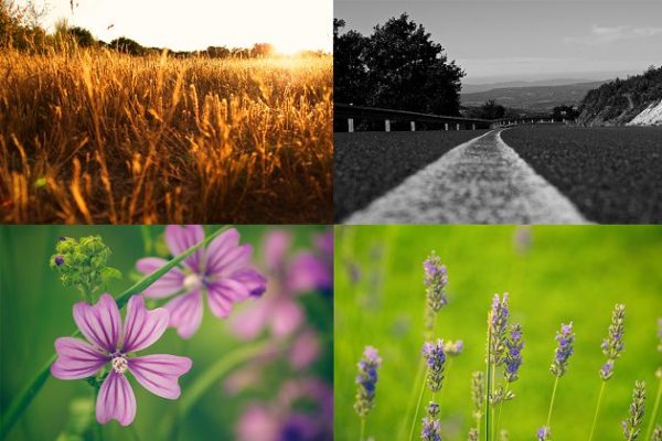 大自然景色高清照片素材 natural colors photo pack